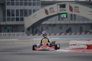 WSK Final Cup 3rd round Adria_11