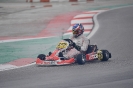 WSK Final Cup 3rd round Adria_9